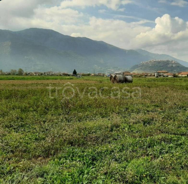 immagine annuncio 7 di 12