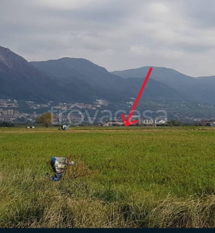 immagine annuncio 8 di 12