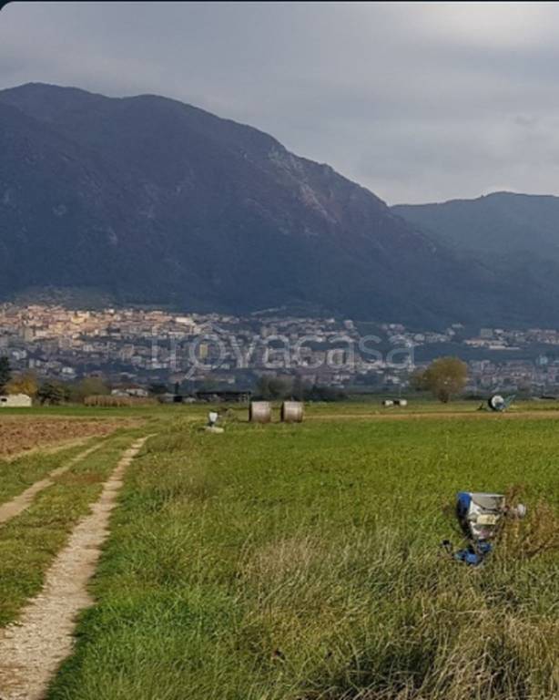 immagine annuncio 9 di 12