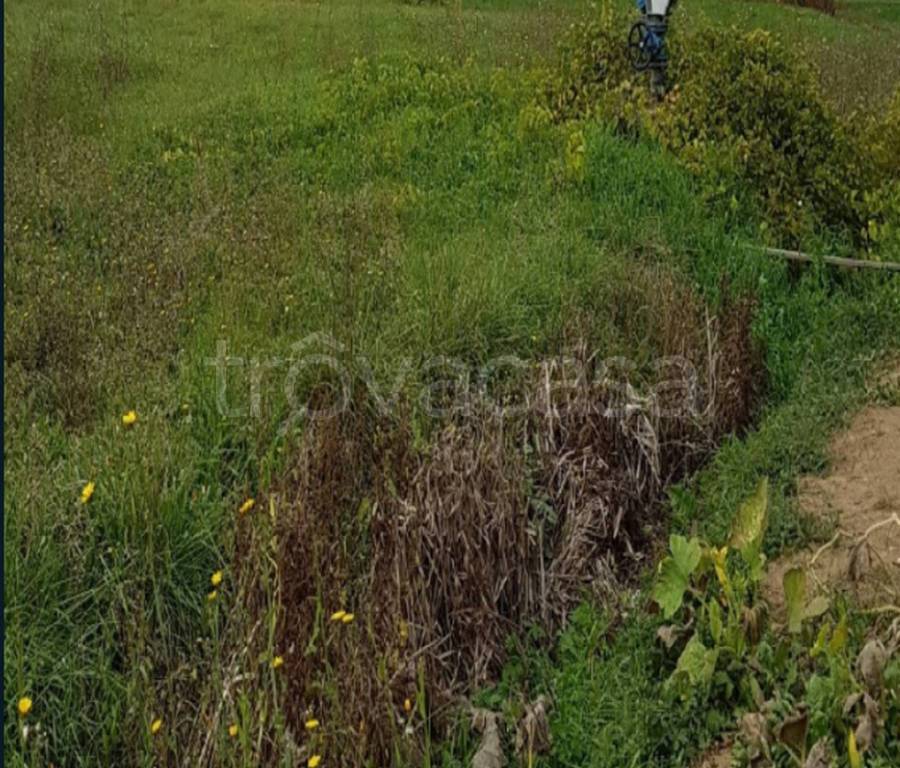 immagine annuncio 10 di 12