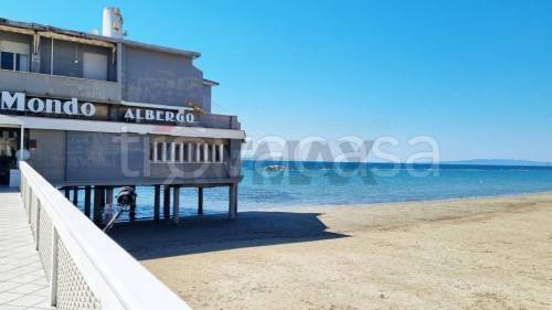 immagine annuncio 4 di 14