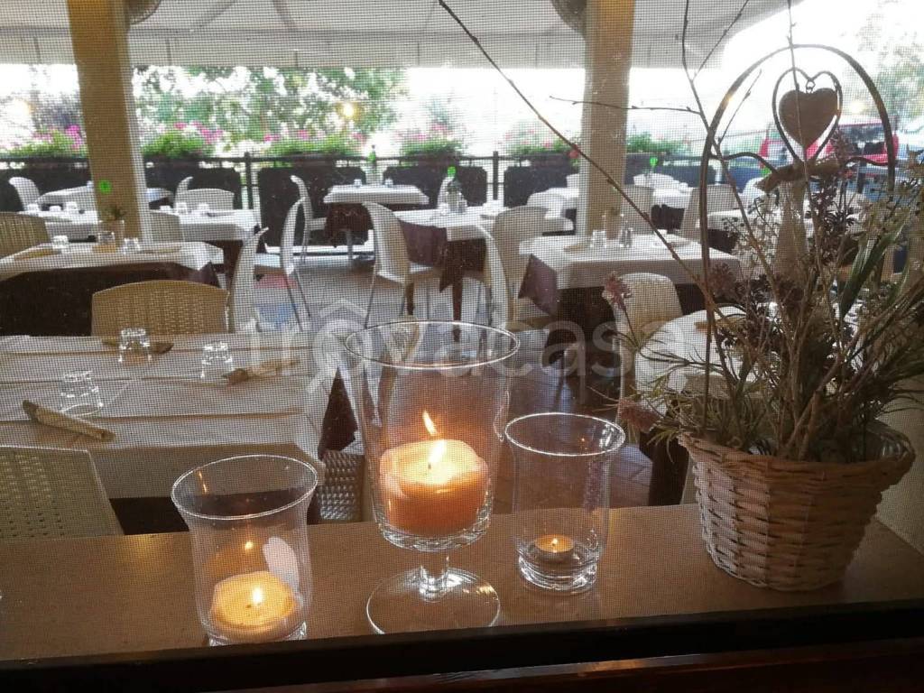 immagine annuncio 5 di 9