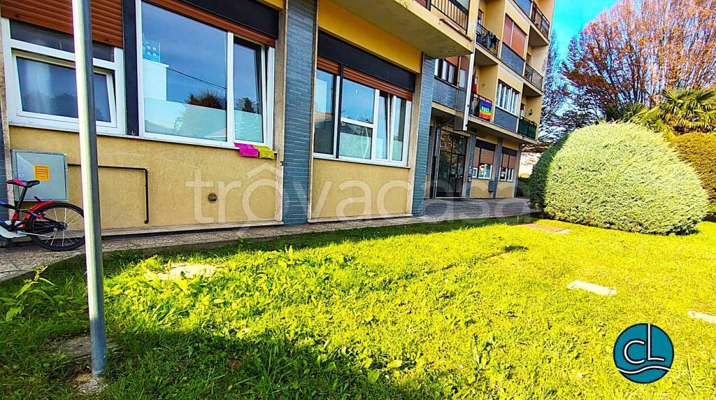 immagine annuncio 12 di 14