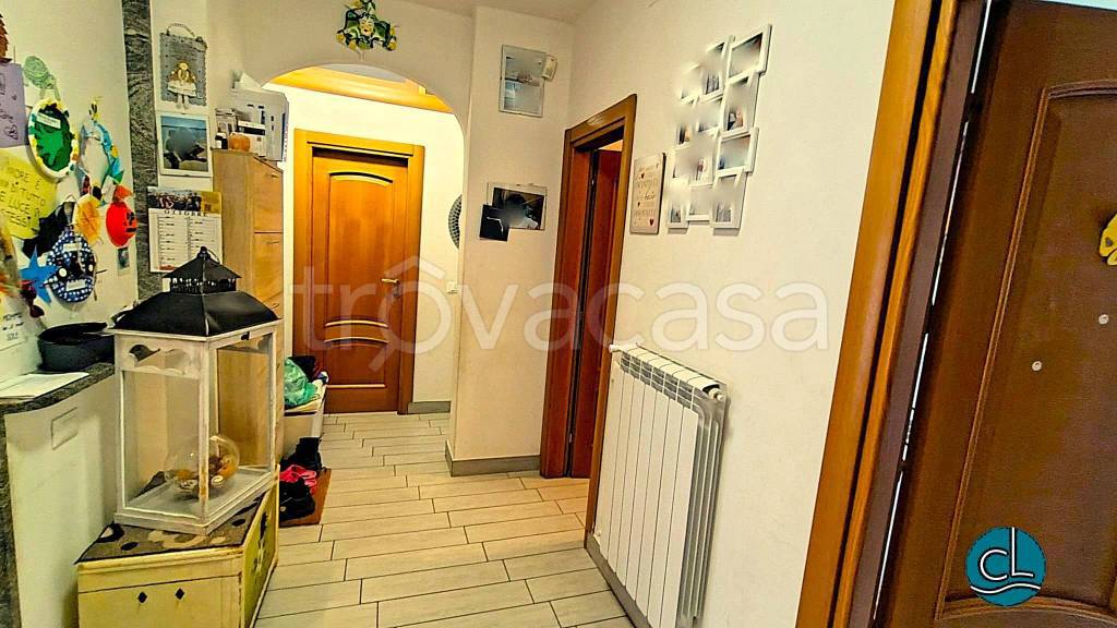 immagine annuncio 2 di 14