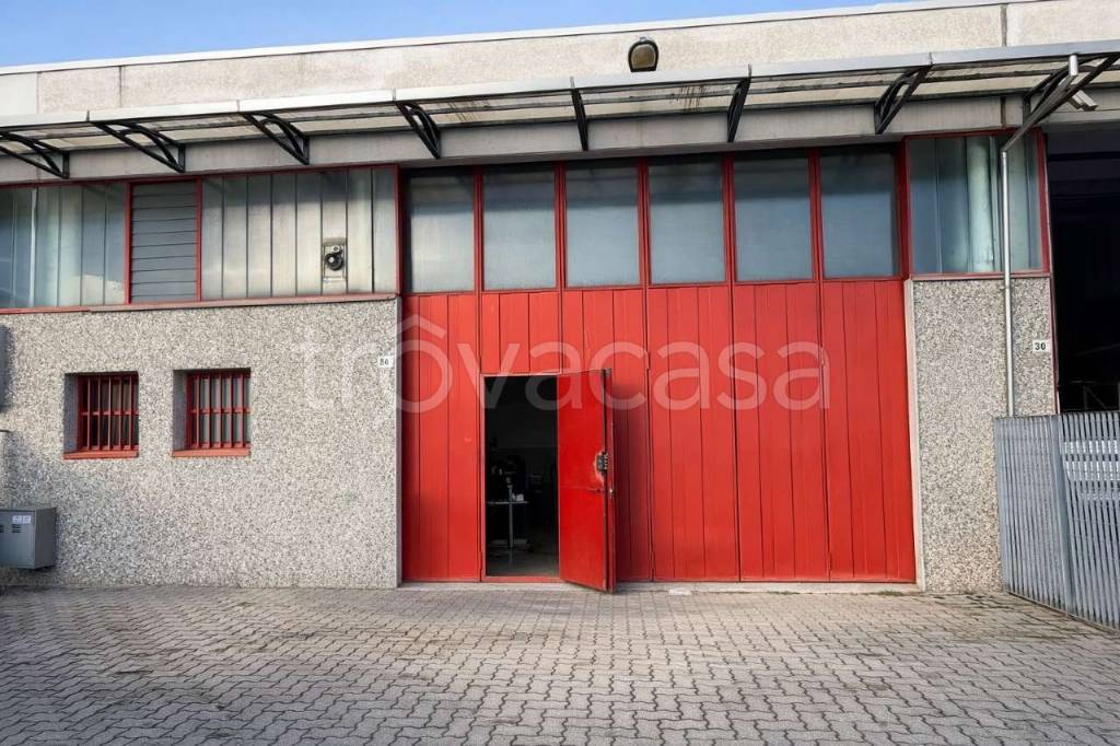 immagine annuncio 5 di 8