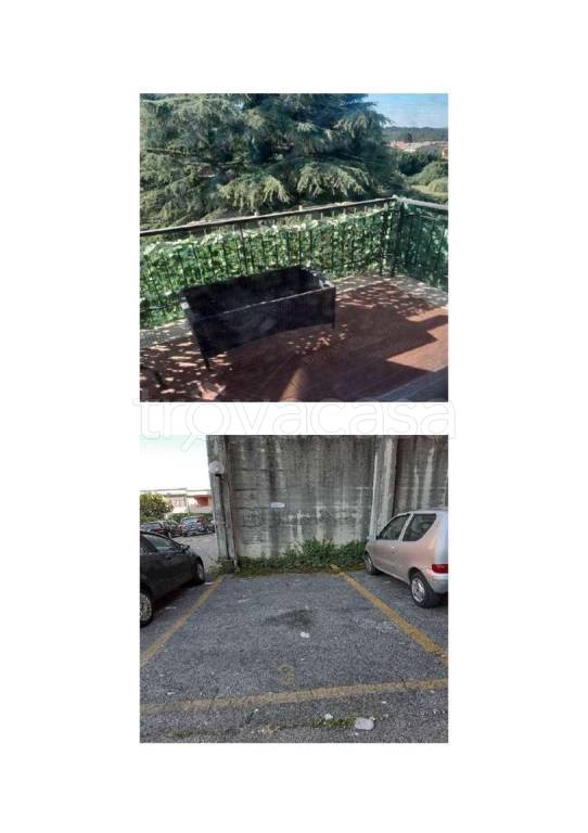 immagine annuncio 2 di 7