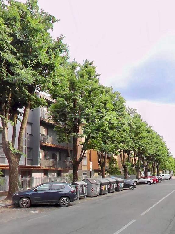 immagine annuncio 2 di 7