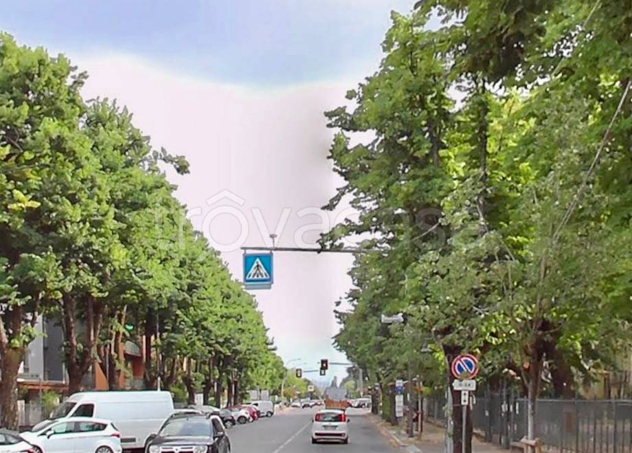 immagine annuncio 5 di 7