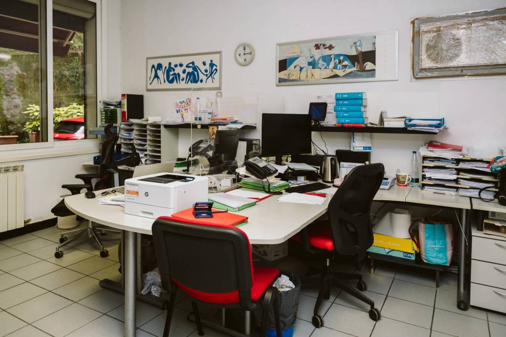 immagine annuncio 9 di 15