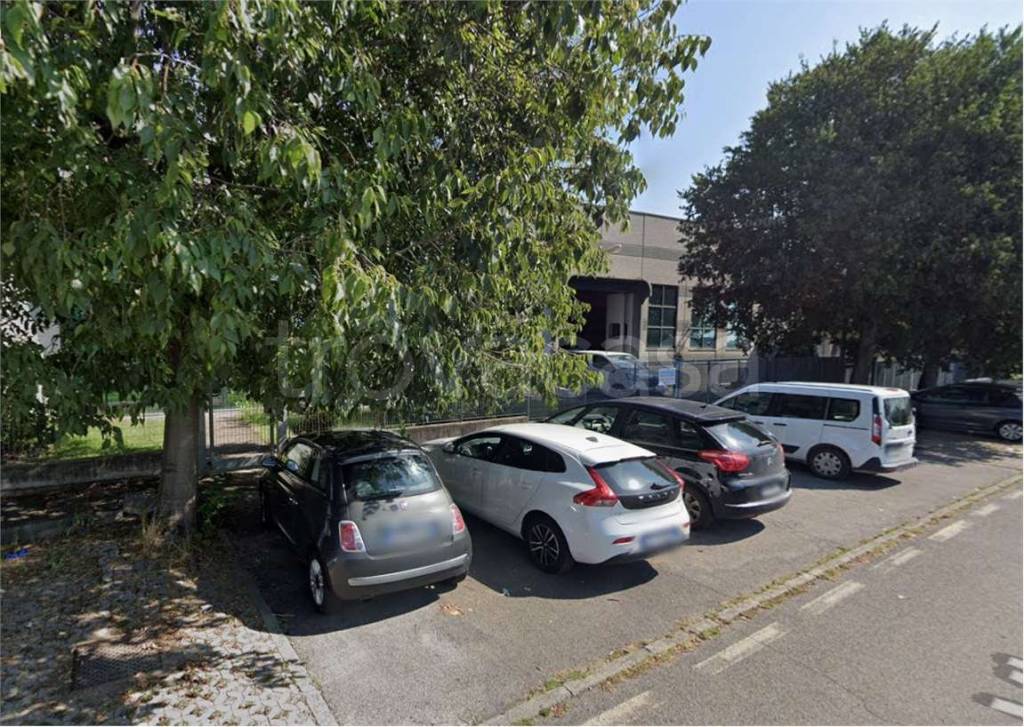 immagine annuncio 5 di 15