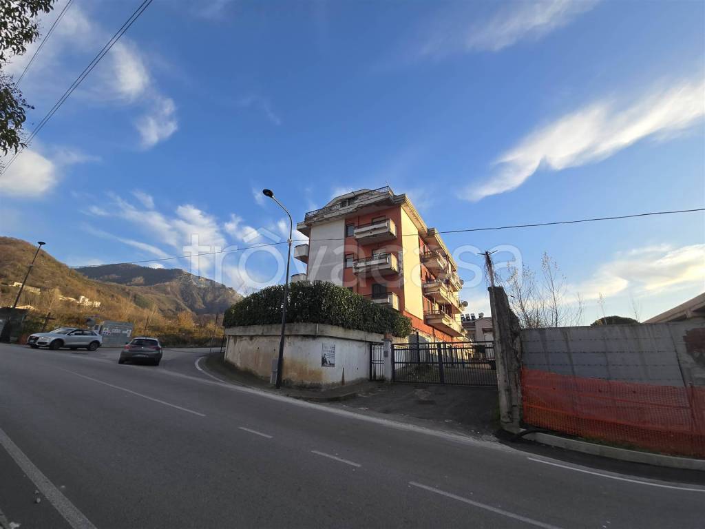 immagine annuncio 2 di 14