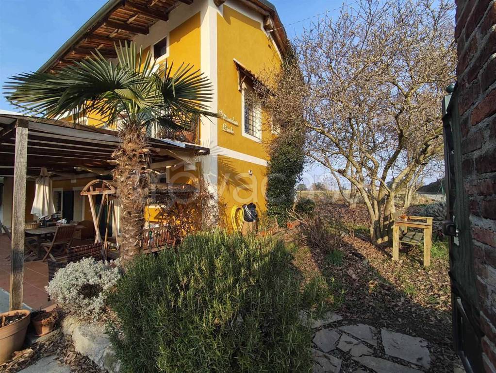 immagine annuncio 3 di 15