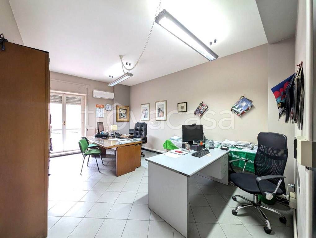 immagine annuncio 3 di 14