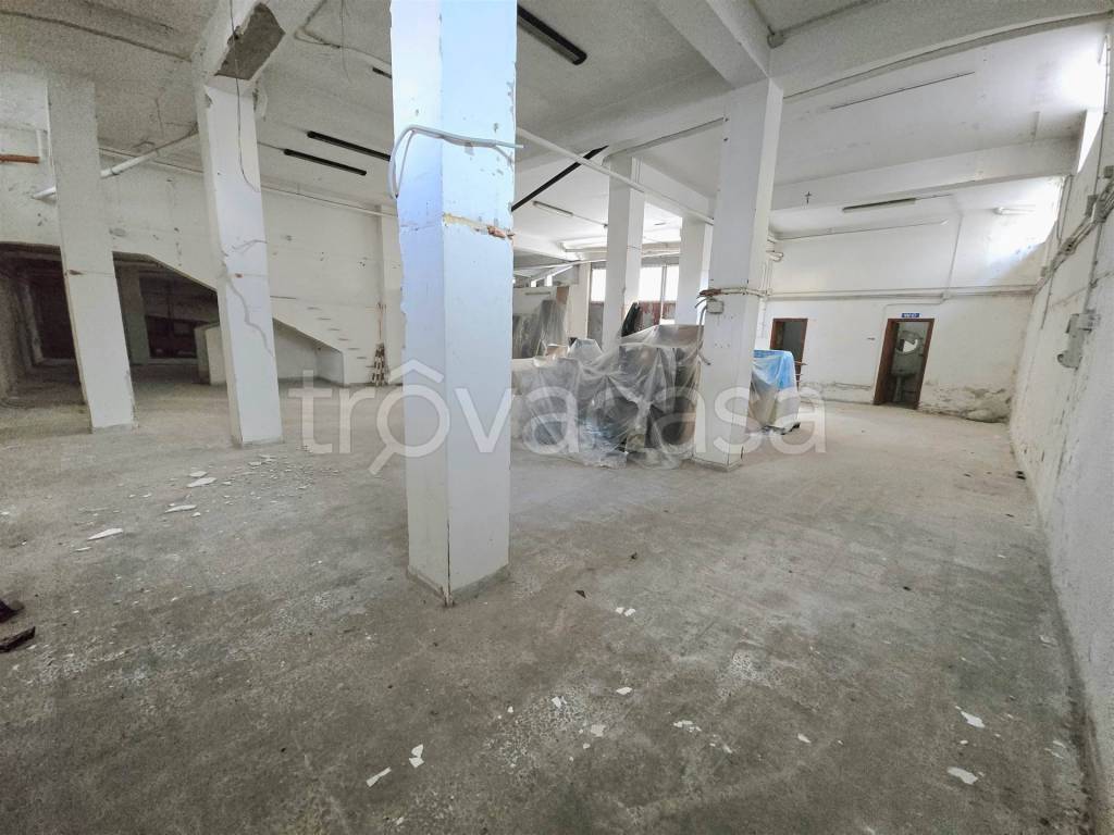 immagine annuncio 4 di 12