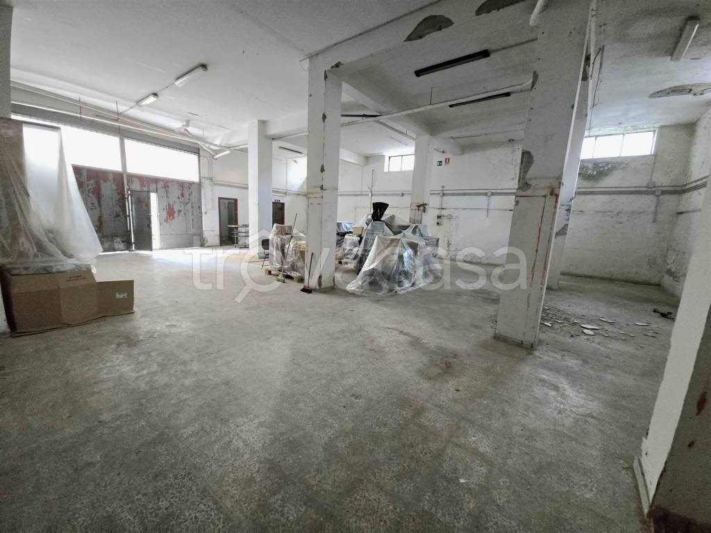 immagine annuncio 5 di 12