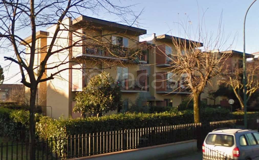 immagine annuncio 6 di 15