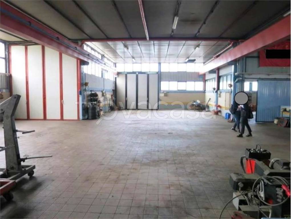 immagine annuncio 7 di 15