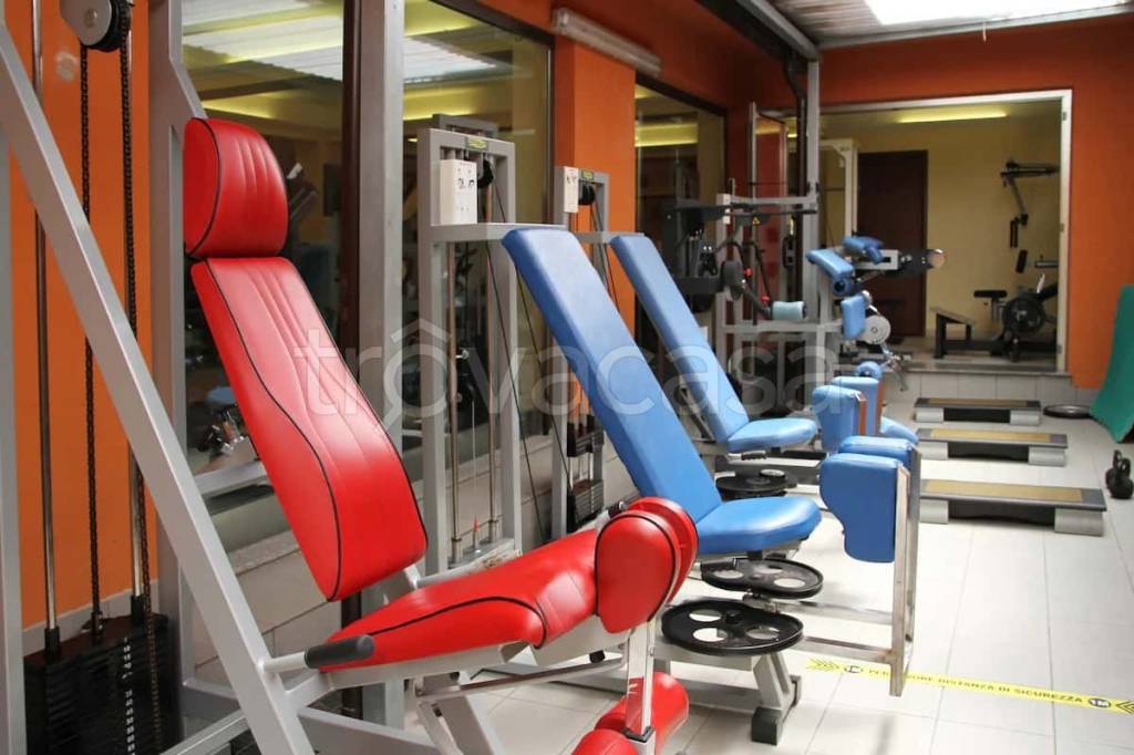 immagine annuncio 12 di 15