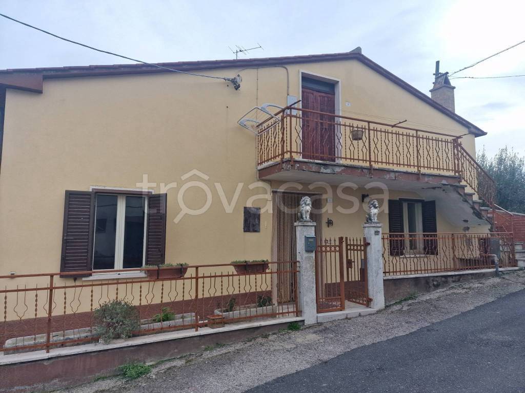 immagine annuncio 10 di 14