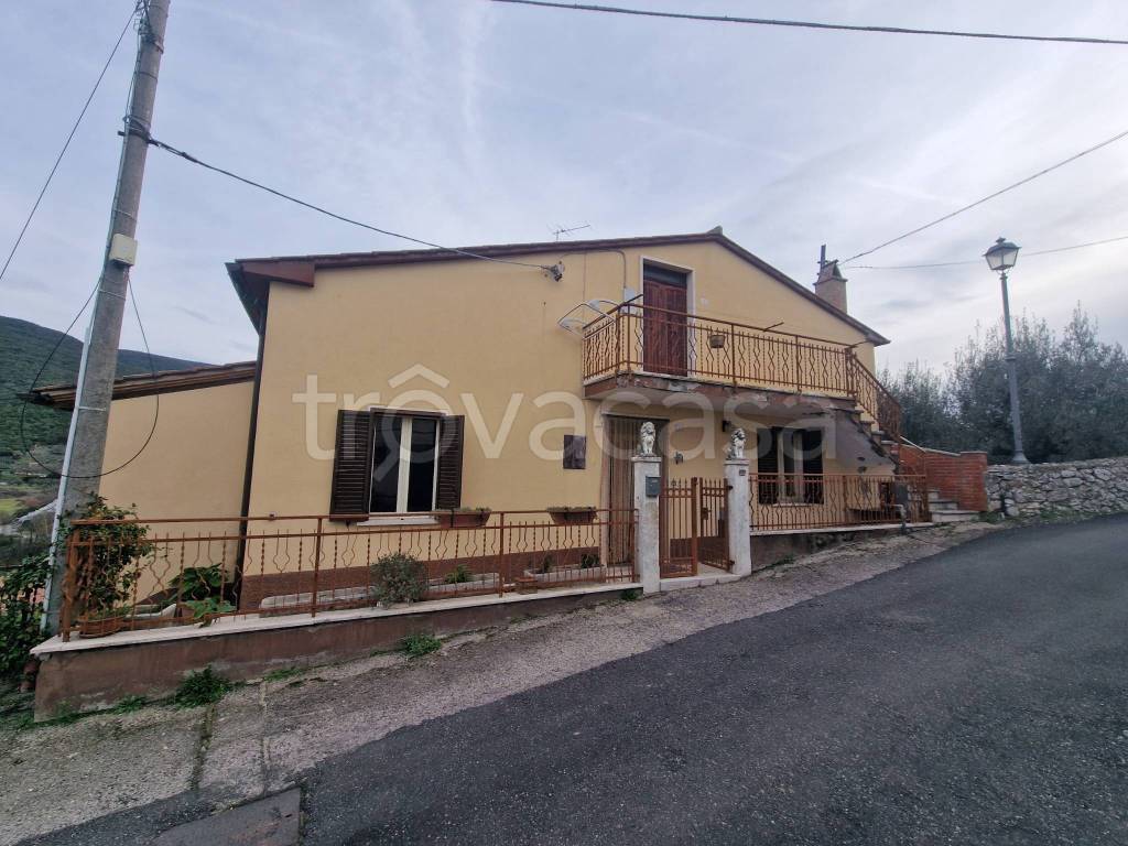 immagine annuncio 11 di 14