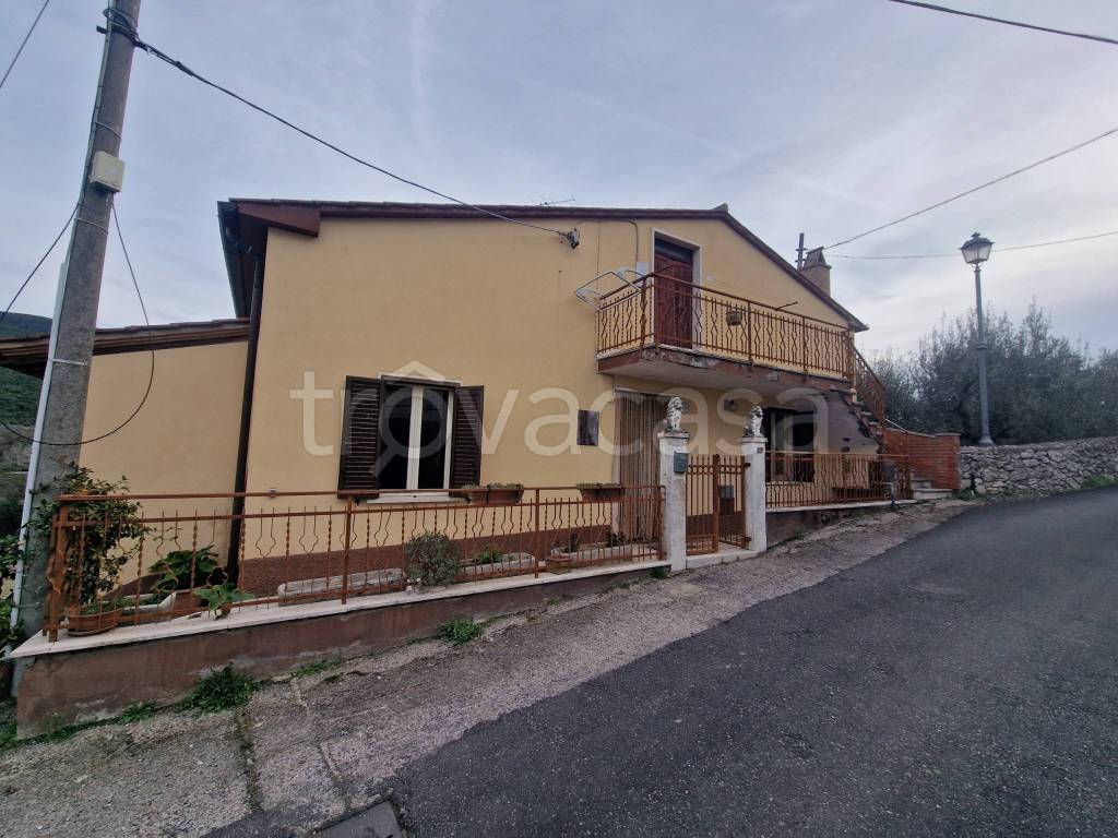 immagine annuncio 12 di 14