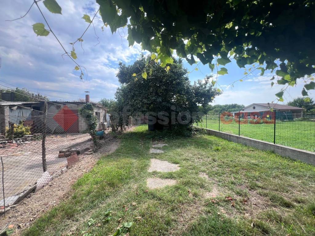 immagine annuncio 1 di 7