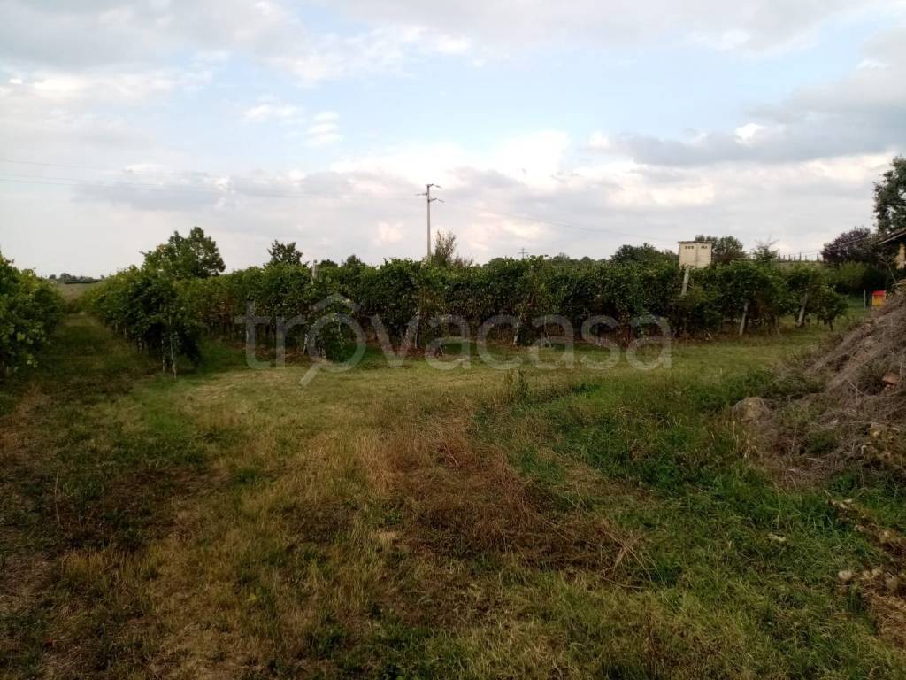 immagine annuncio 1 di 7