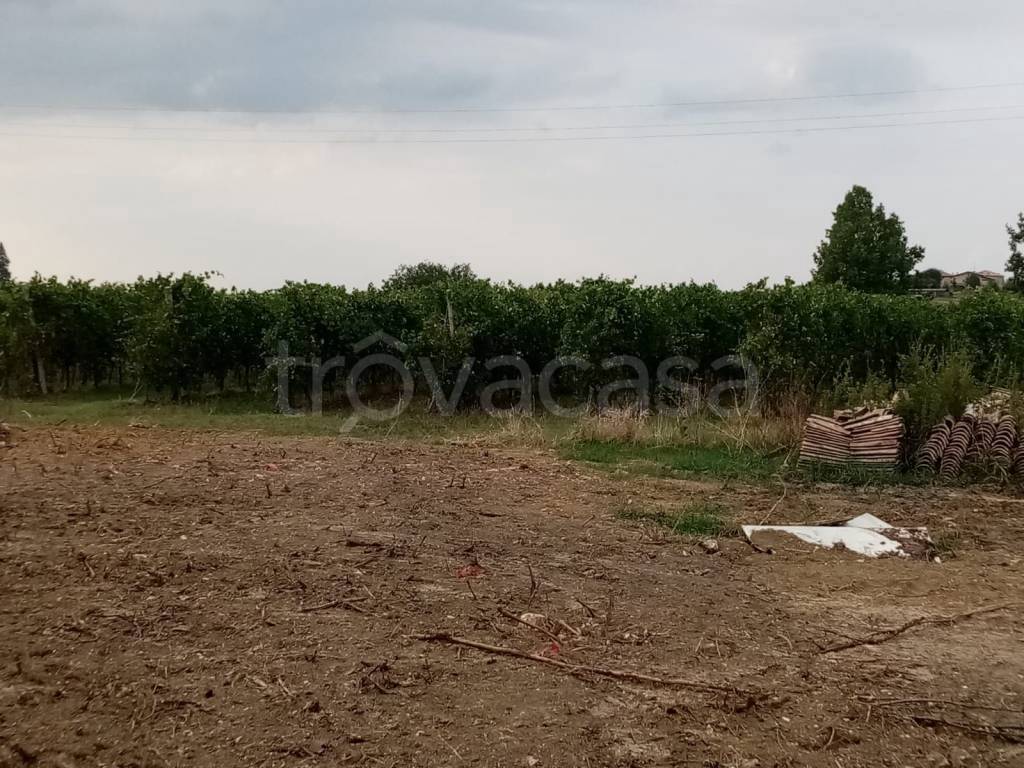 immagine annuncio 2 di 7