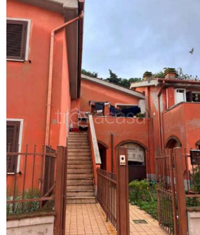 immagine annuncio 7 di 12