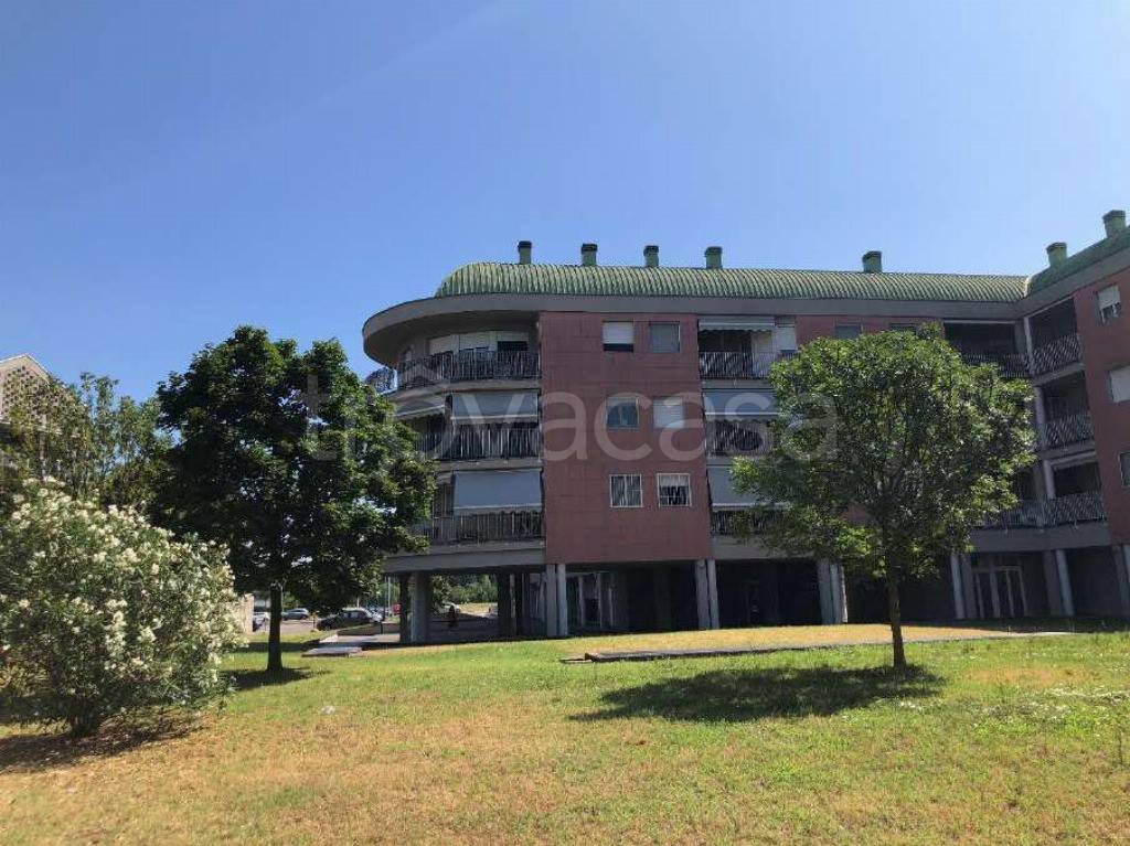 immagine annuncio 4 di 15