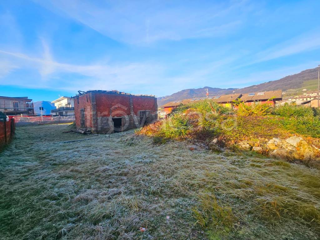 immagine annuncio 3 di 4