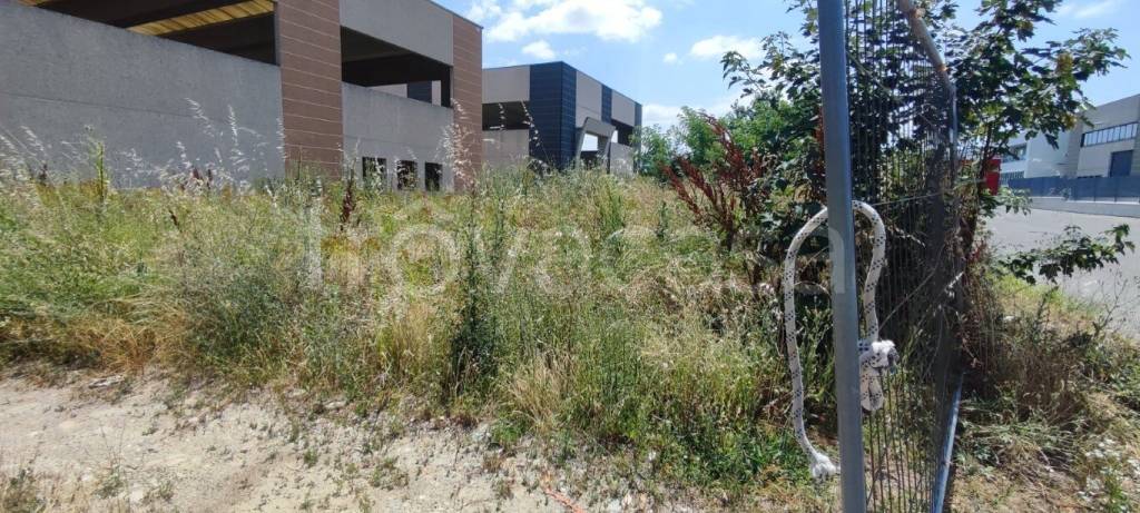 immagine annuncio 2 di 7