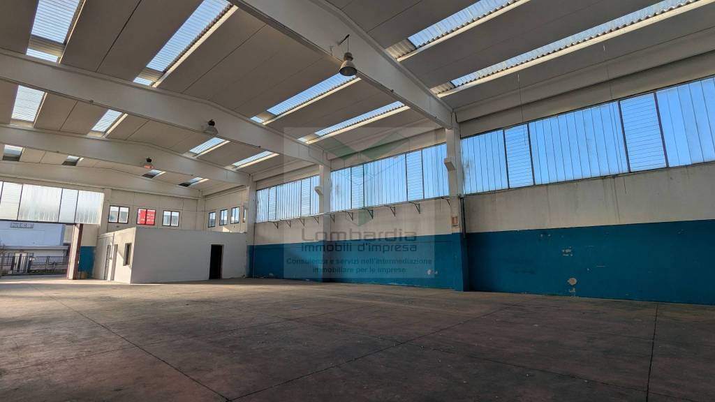 immagine annuncio 3 di 6