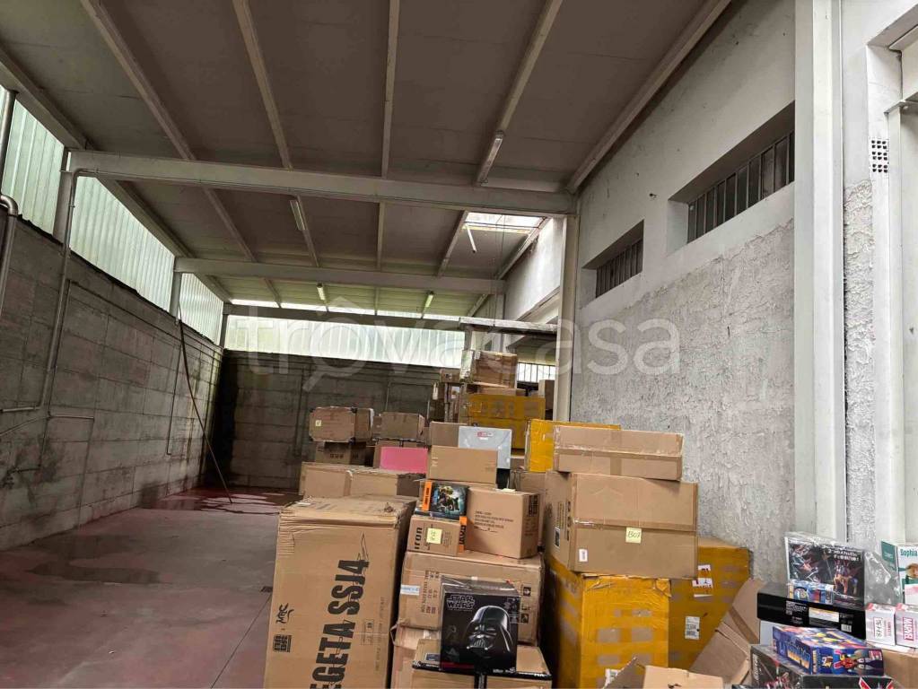 immagine annuncio 10 di 14