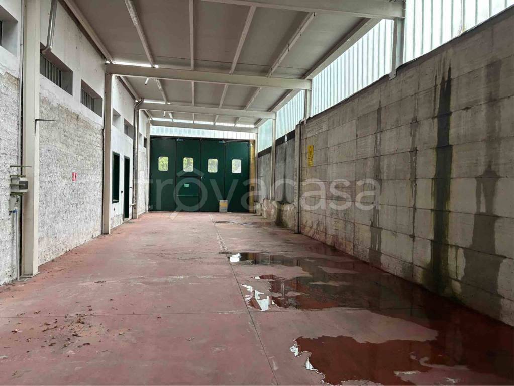 immagine annuncio 8 di 14