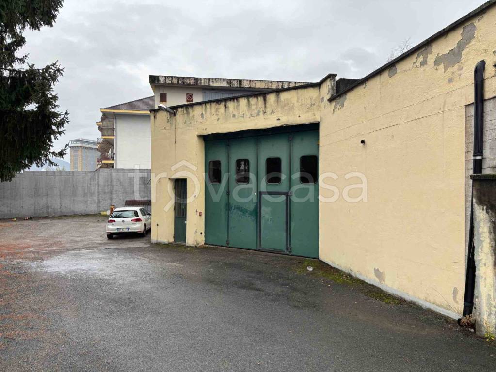 immagine annuncio 12 di 14