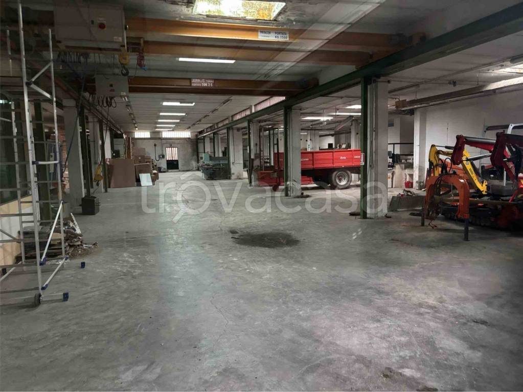 immagine annuncio 1 di 14