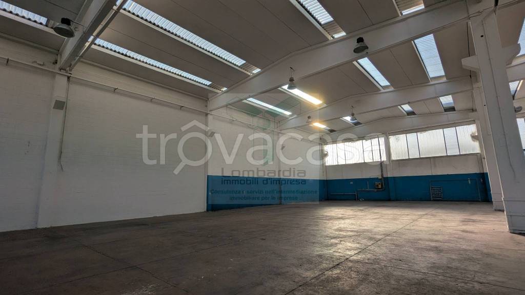 immagine annuncio 4 di 6