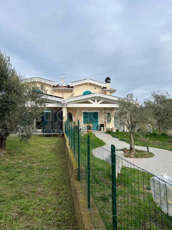 immagine annuncio 1 di 3