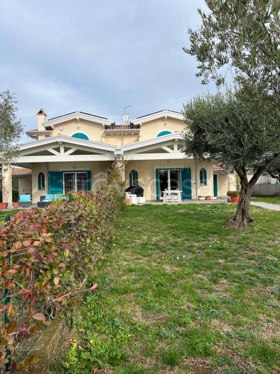 immagine annuncio 2 di 3