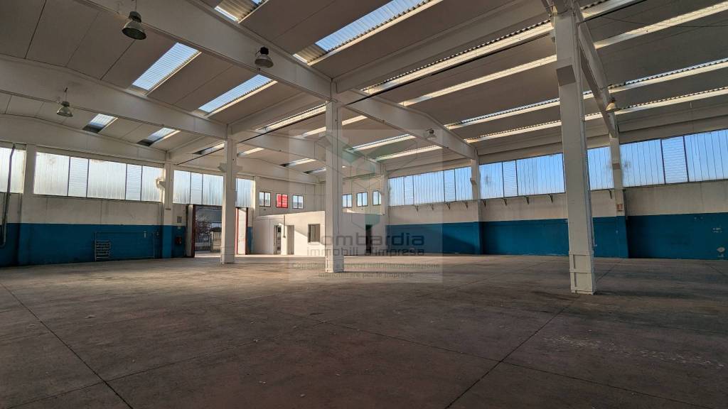 immagine annuncio 2 di 6