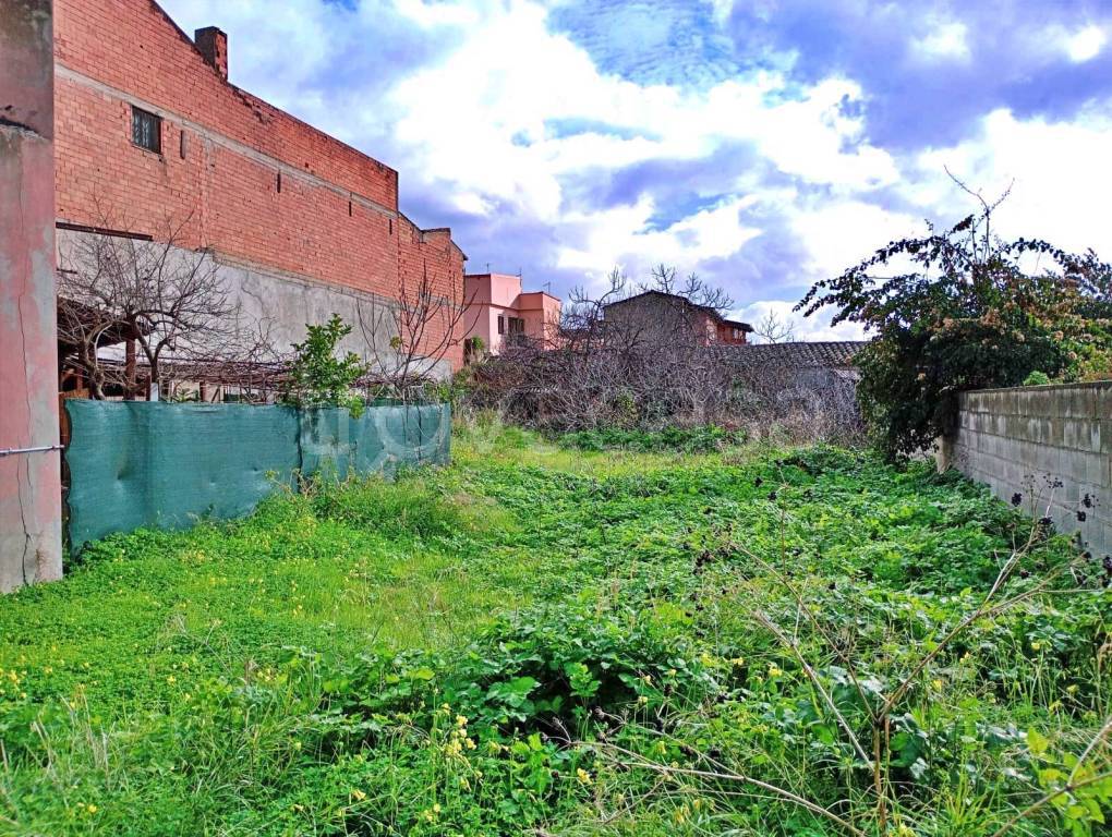 immagine annuncio 10 di 11