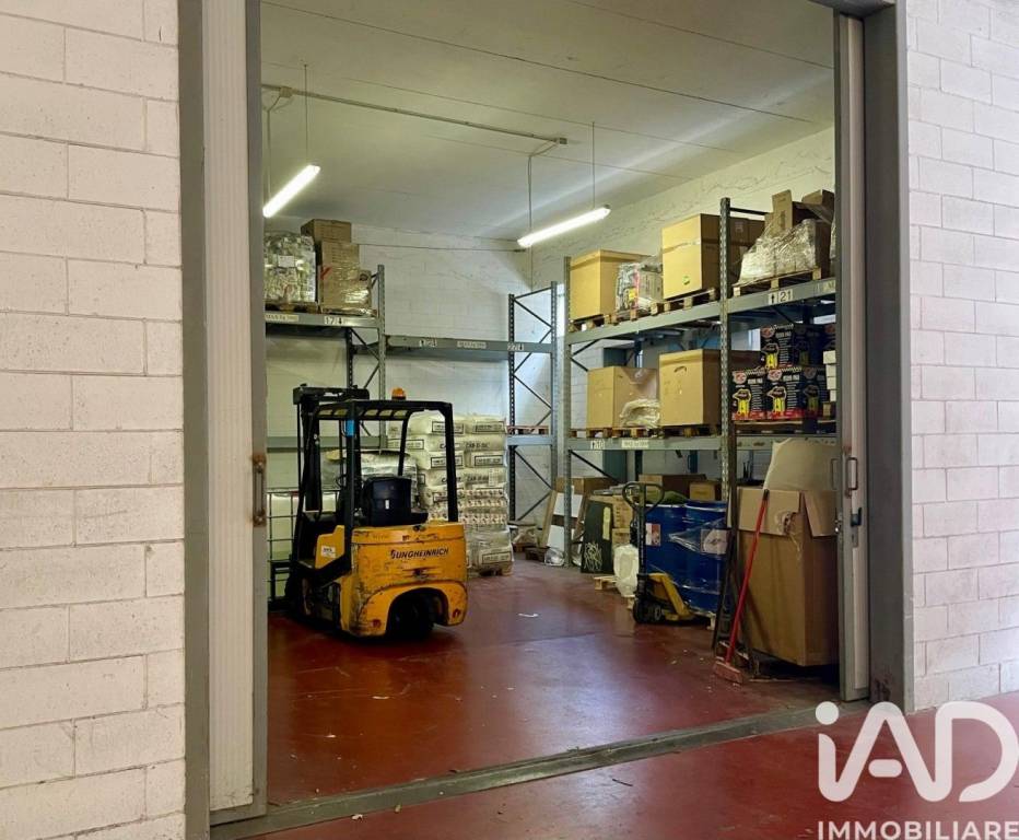 immagine annuncio 1 di 12