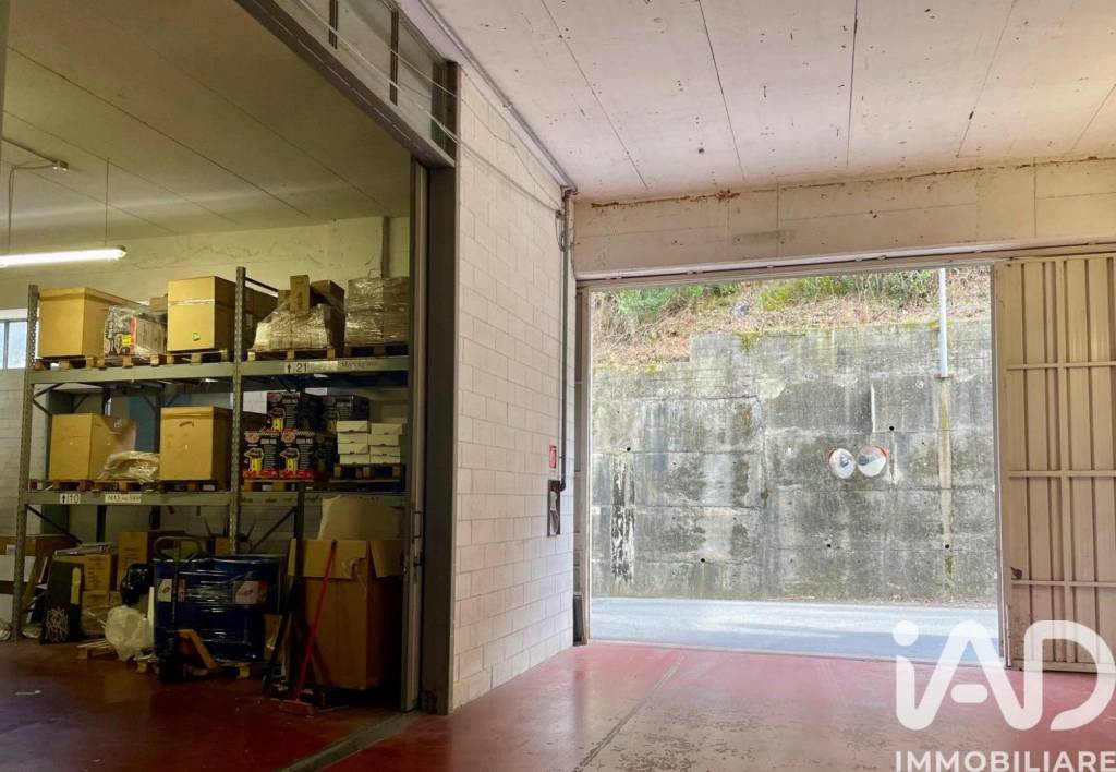 immagine annuncio 3 di 12