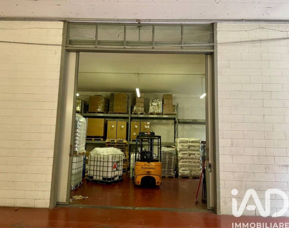 immagine annuncio 5 di 12