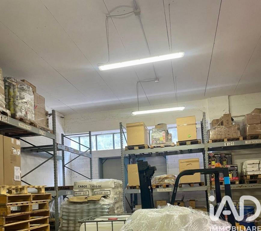 immagine annuncio 6 di 12