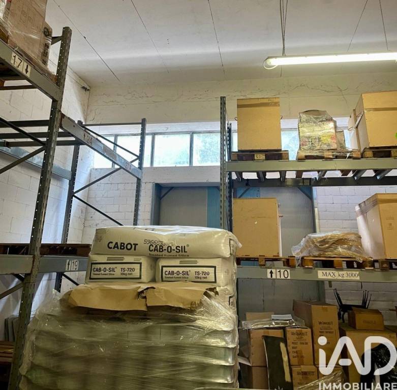 immagine annuncio 9 di 12