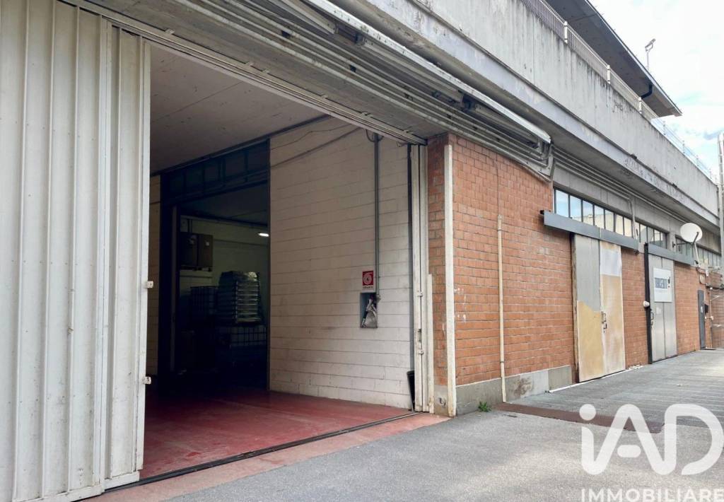 immagine annuncio 11 di 12