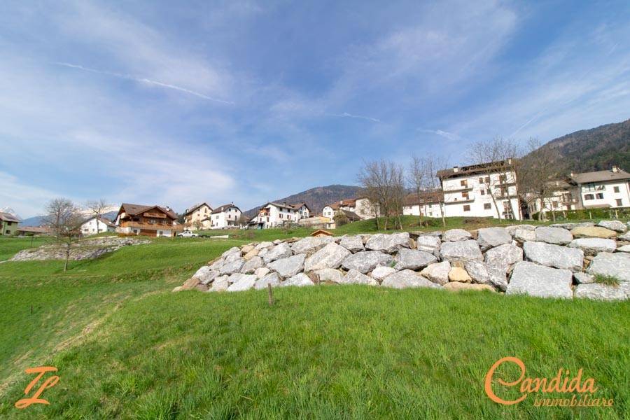 immagine annuncio 4 di 7