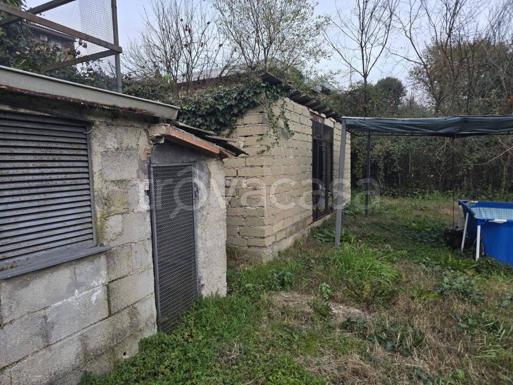 immagine annuncio 9 di 15